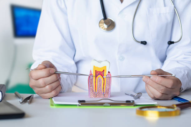 Best Emergency Orthodontic Repairs in Central Garage, VA